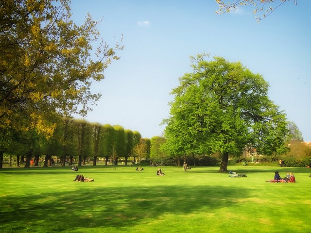 Parco delle Rimembranze
